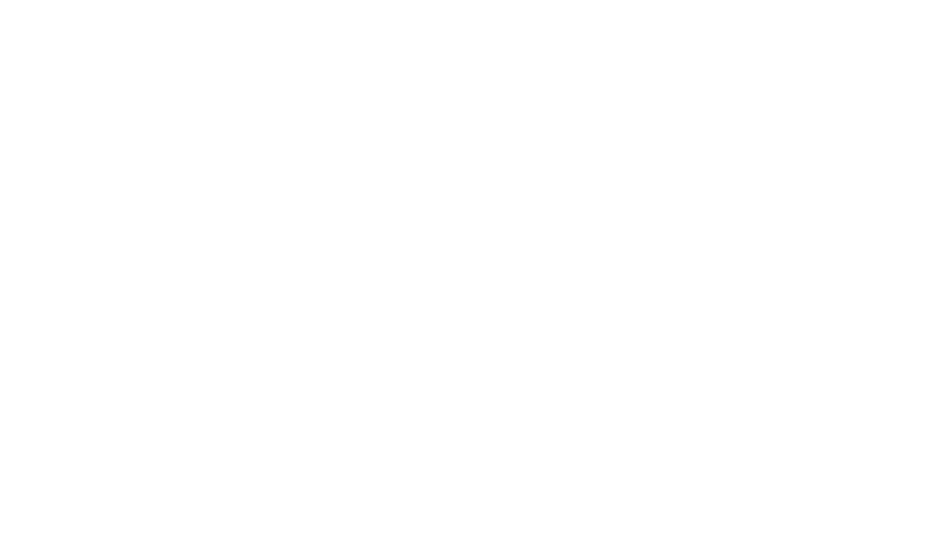 Brand Cars Company